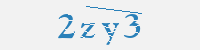 보안문자